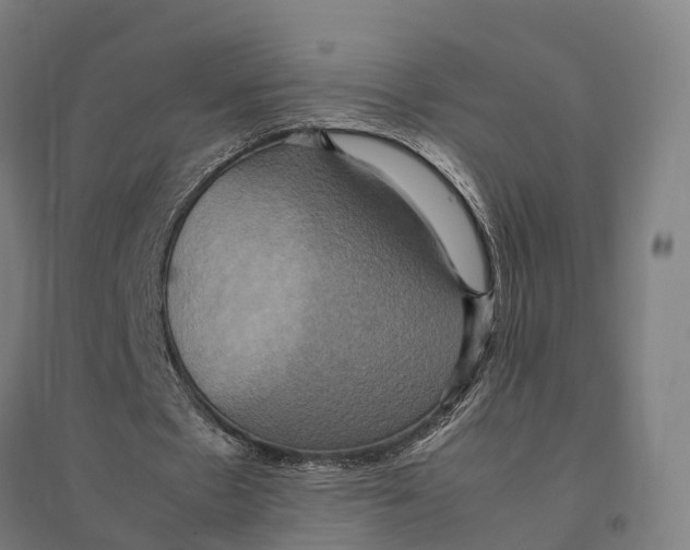 X0000095120481200712301804