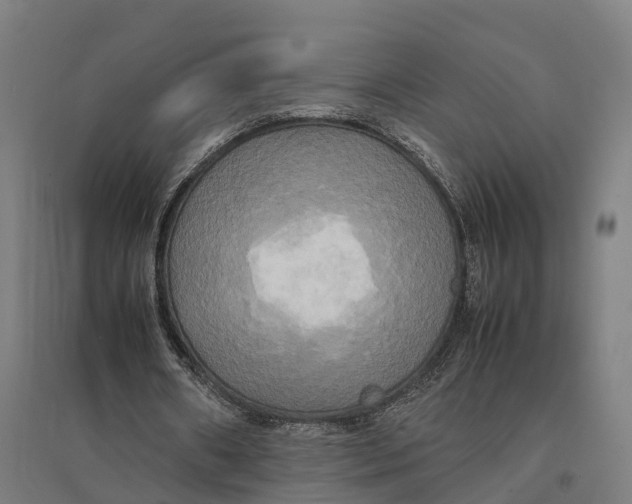 X0000095120482200712301804