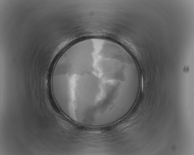 X0000095120483200712301804