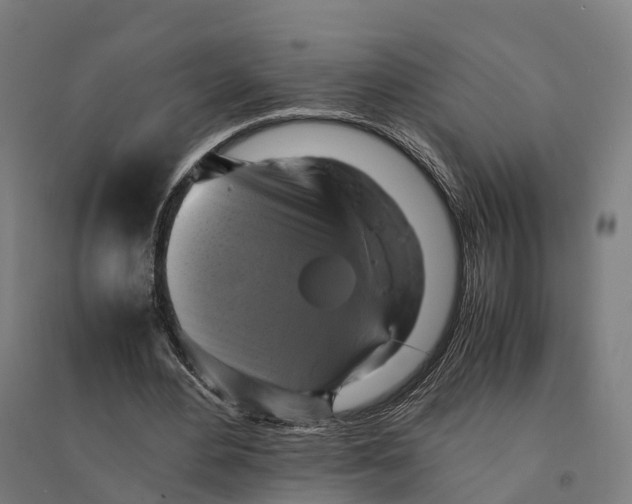 X0000095120484200712301804