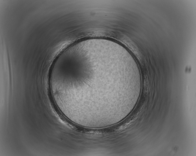 X0000095120485200712301804