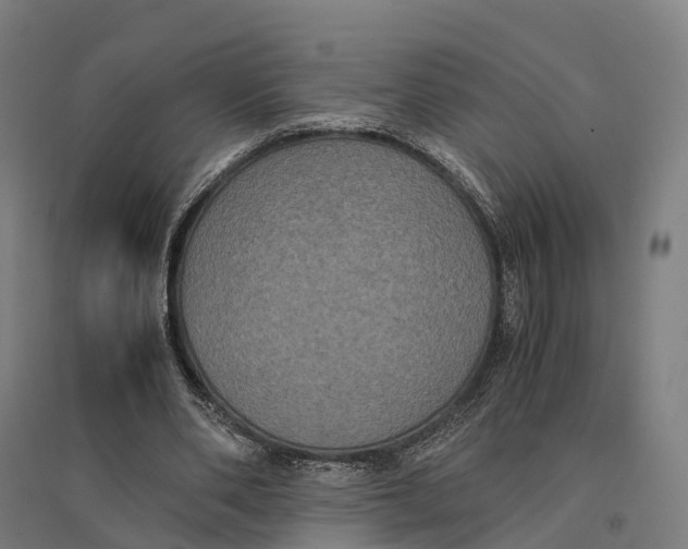 X0000095120486200712301804