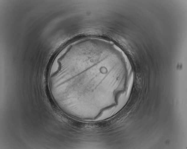 X0000095120487200712301804