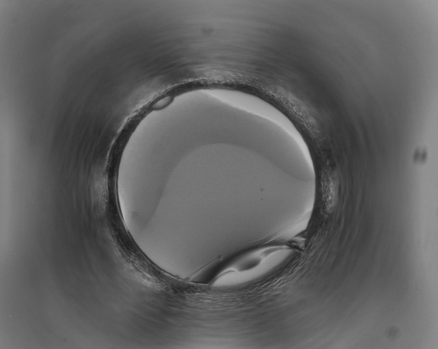 X0000095120488200712301804