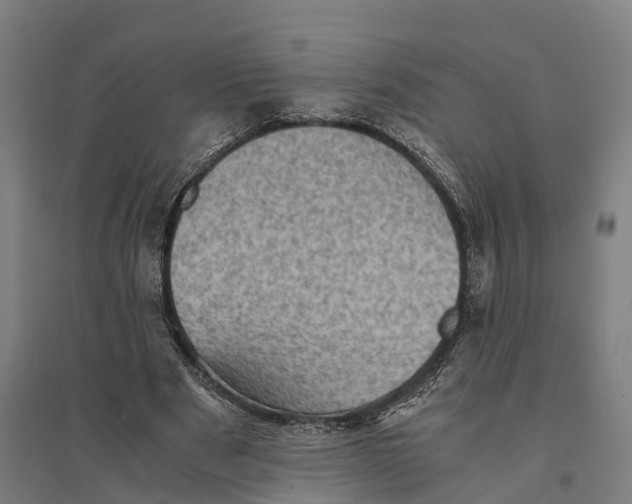 X0000095120489200712301804