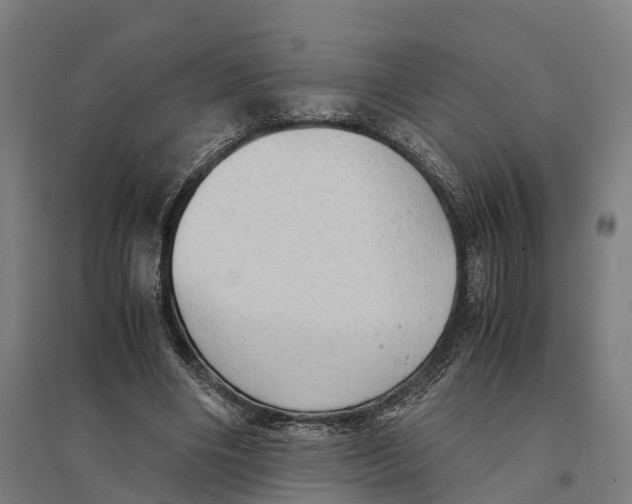 X0000095120490200712301804