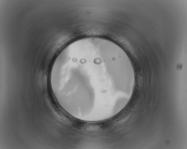 X0000095120491200712301804