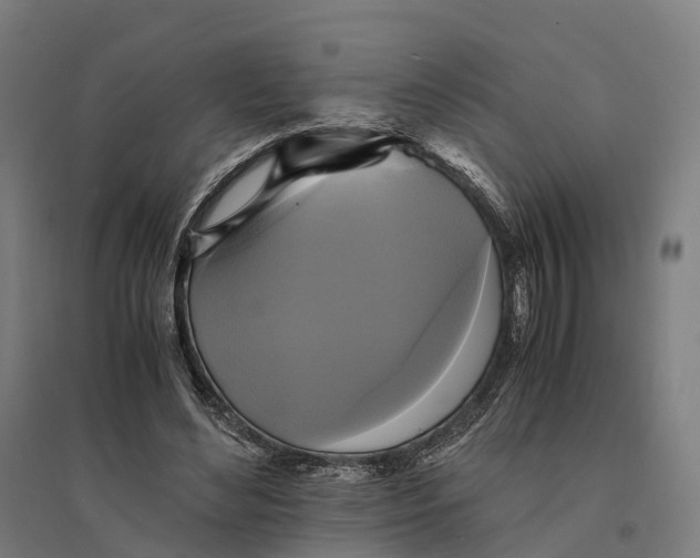 X0000095120492200712301804