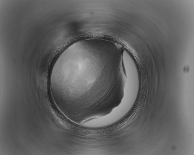 X0000095120493200712301804