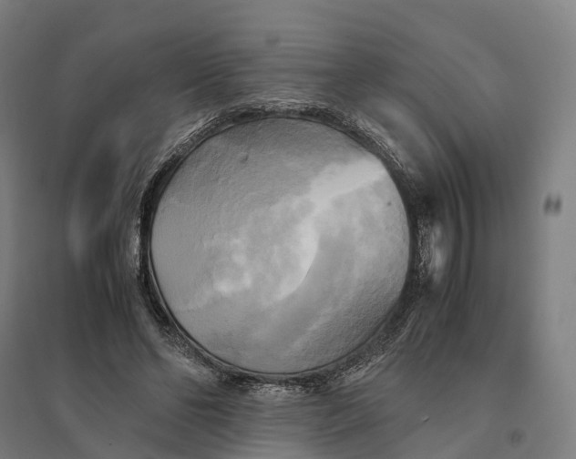 X0000095120494200712301804