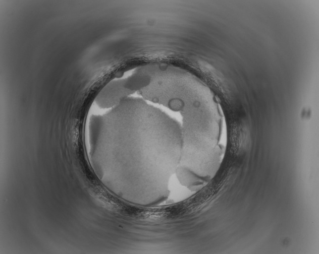 X0000095120495200712301804