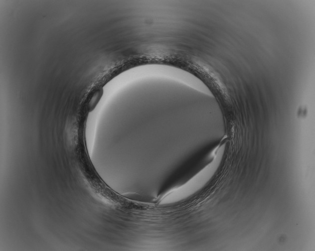 X0000095120496200712301804