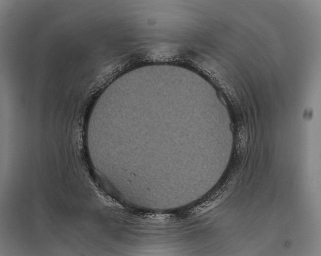 X0000095120497200712301804