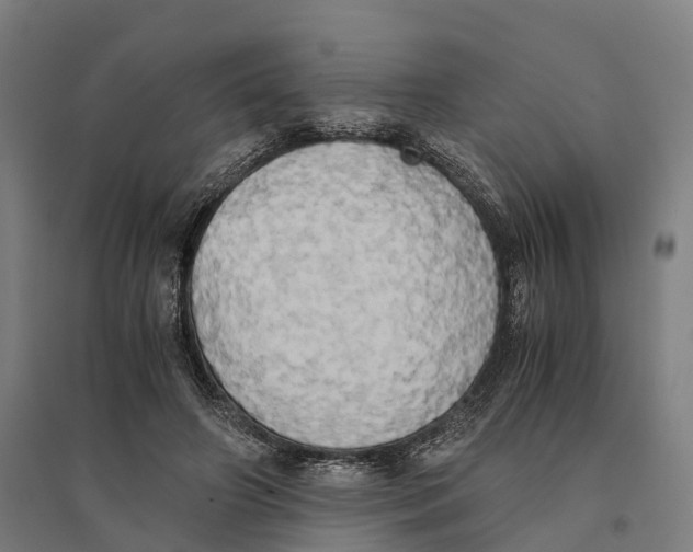 X0000095120498200712301804