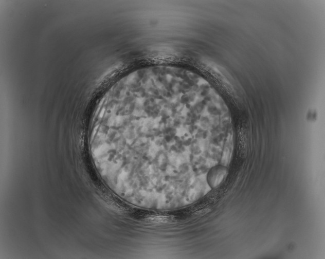 X0000095120499200712301803