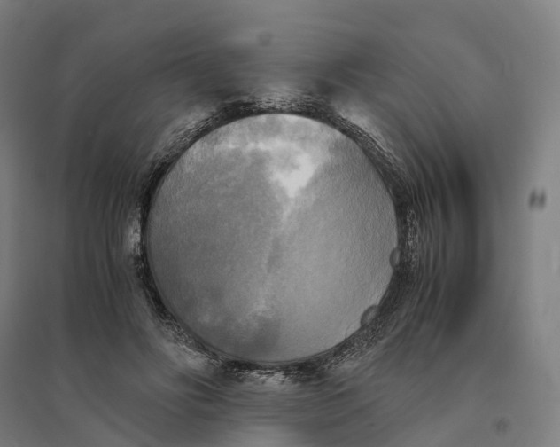 X0000095120502200712301803