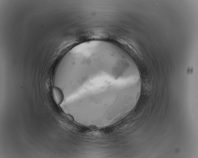 X0000095120503200712301803