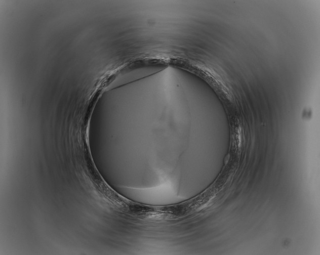 X0000095120504200712301803