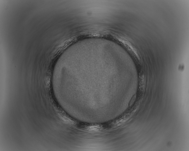 X0000095120505200712301803