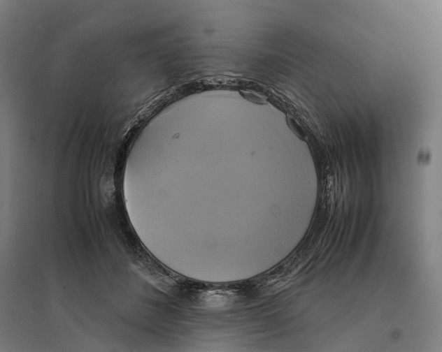 X0000095120508200712301803