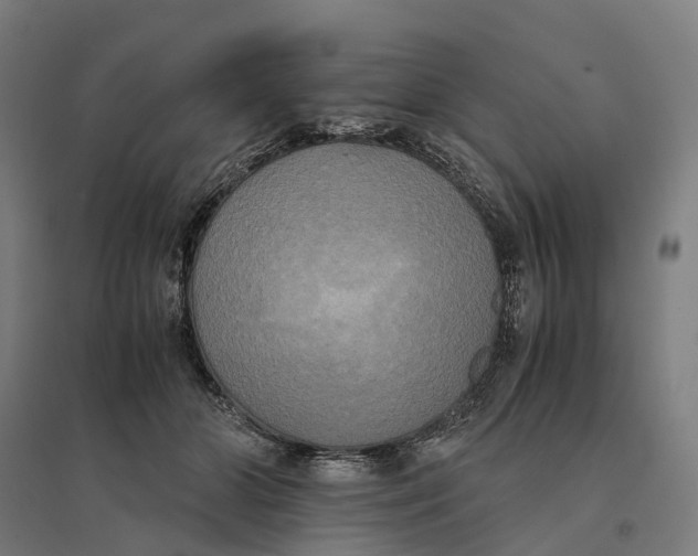 X0000095120510200712301803