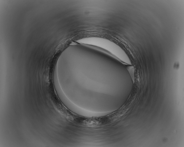 X0000095120512200712301803