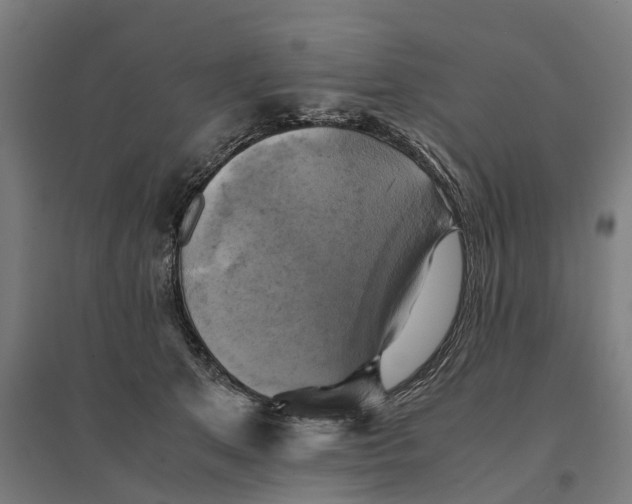 X0000095120513200712301803