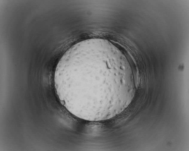 X0000095120514200712301803