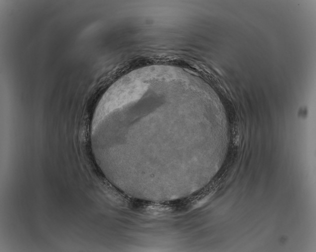 X0000095120515200712301803