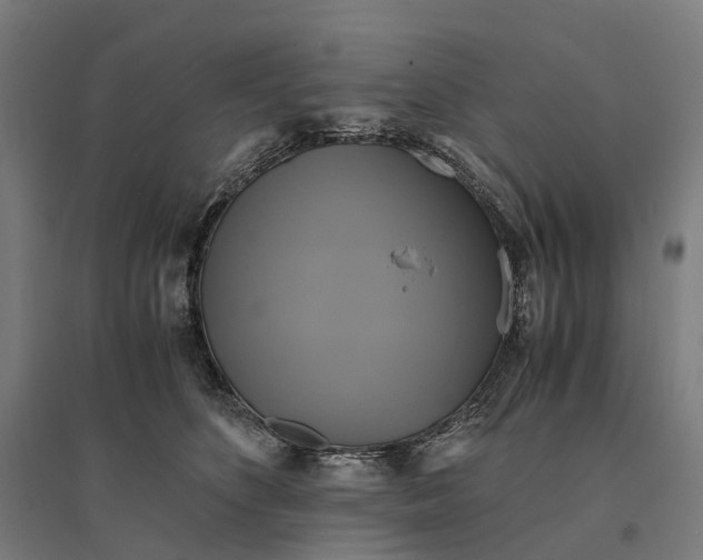 X0000095120516200712301803