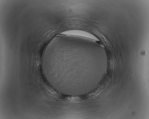 X0000095120517200712301803