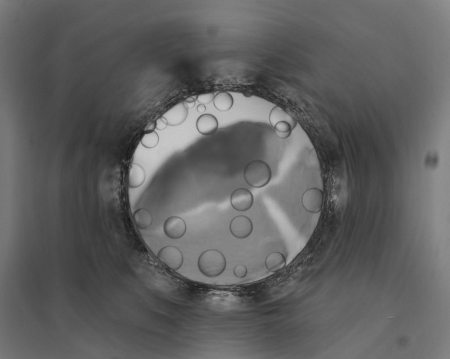 X0000095120519200712301803