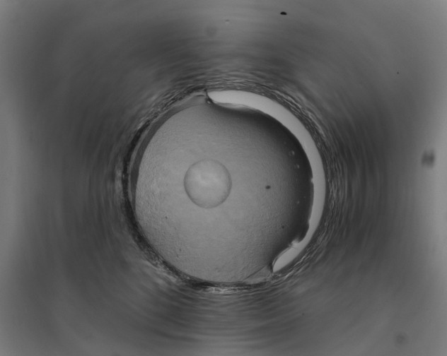 X0000095120520200712301803