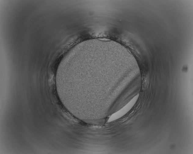 X0000095120521200712301803