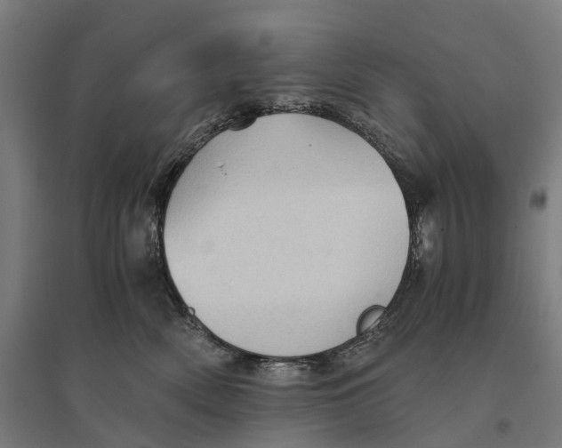 X0000095120522200712301803