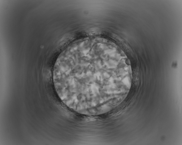 X0000095120523200712301803