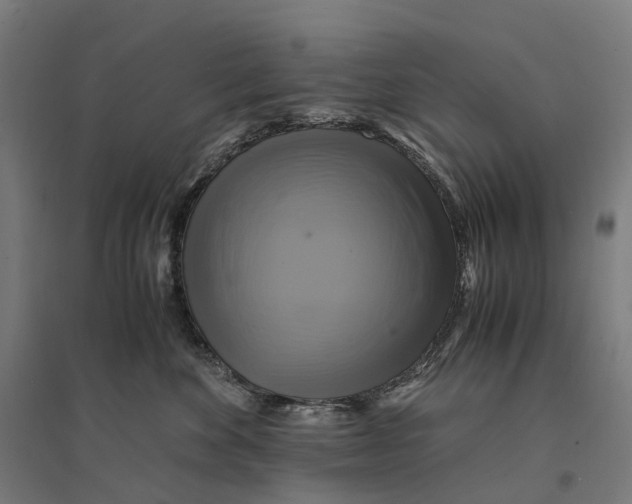 X0000095120524200712301803