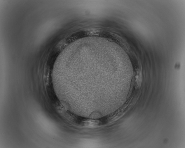 X0000095120525200712301803