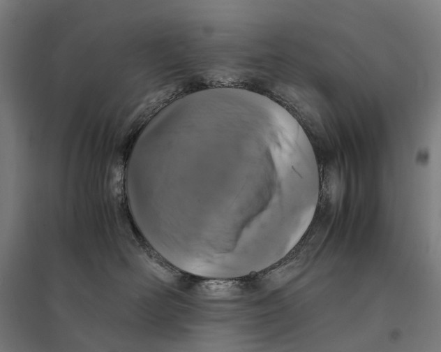 X0000095120526200712301803