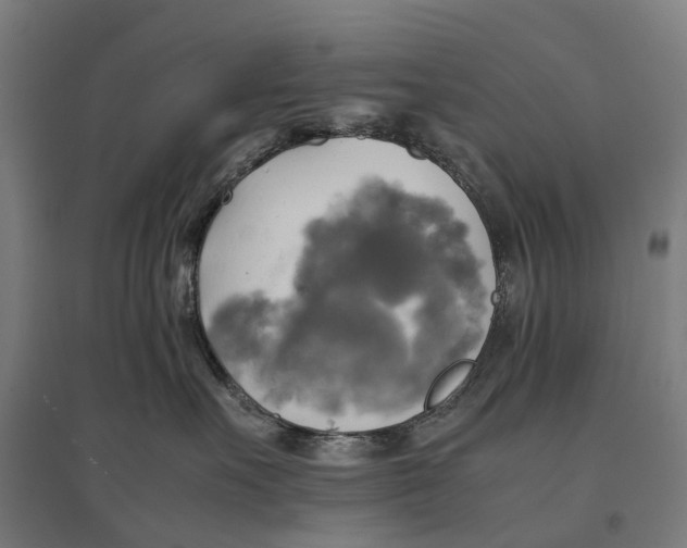 X0000095120527200712301803