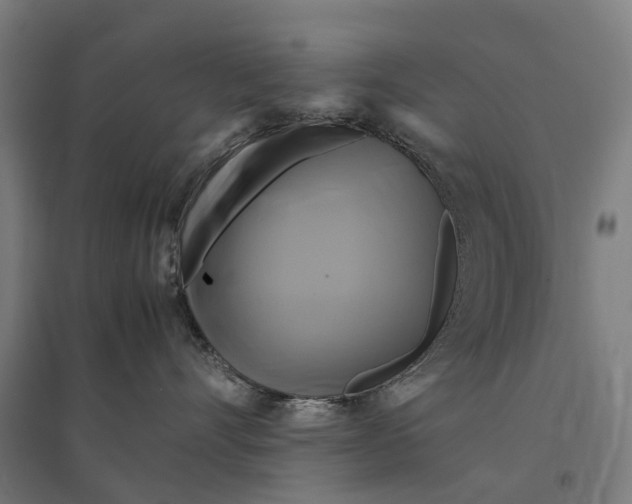 X0000095120528200712301803