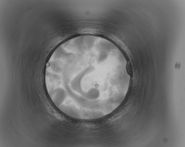 X0000095120529200712301802