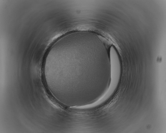 X0000095120530200712301802