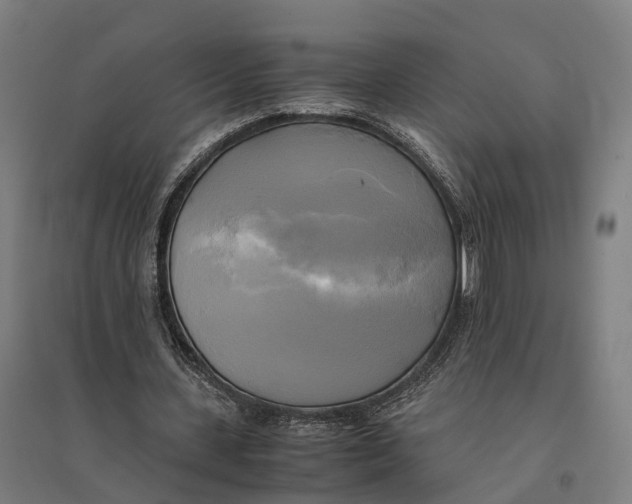 X0000095120531200712301802