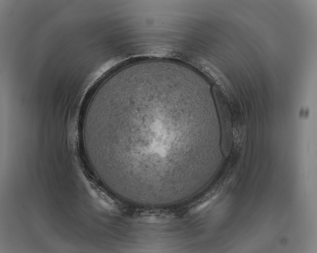 X0000095120532200712301802