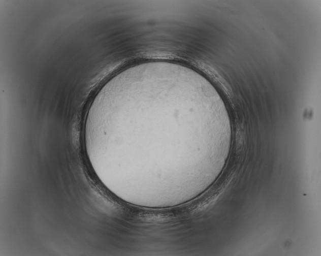 X0000095120533200712301802