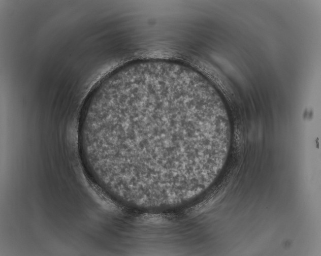 X0000095120534200712301802