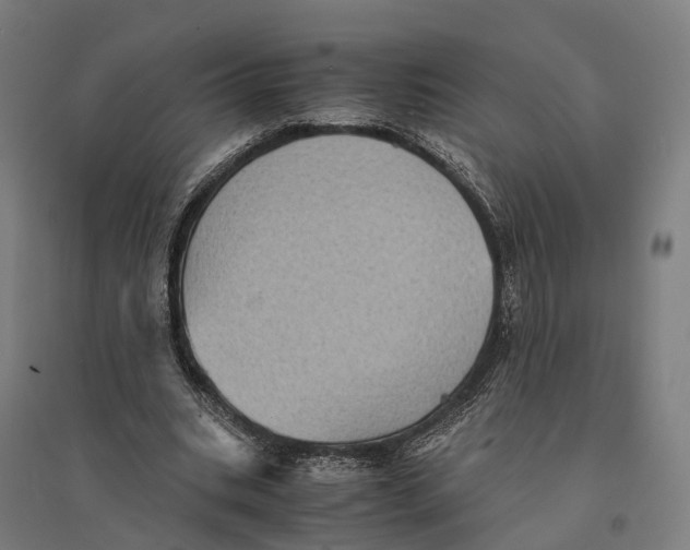 X0000095120535200712301802