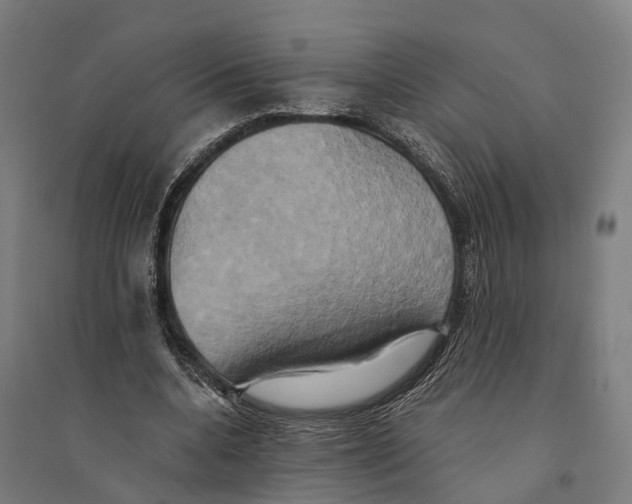 X0000095120536200712301802