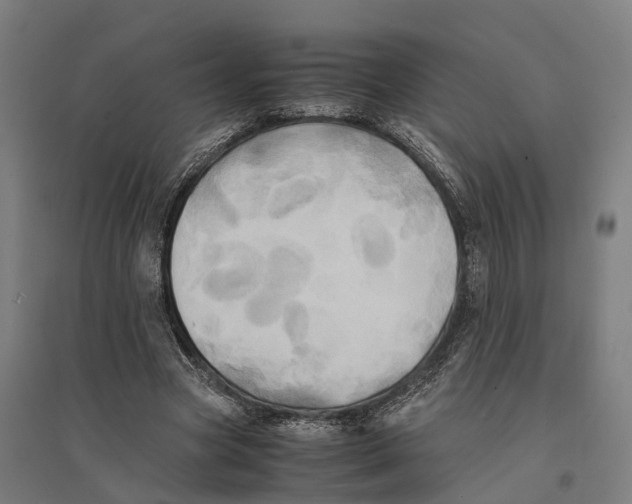 X0000095120537200712301802